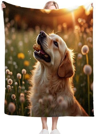 Gumntun Coperta in flanella doppia spessa 150 x 200 cm, colore giallo Golden Retriever, morbida e soffice coperta per letto, copriletto da viaggio, leggera, termica, 150 x 200 cm, per adulti e ragazzi