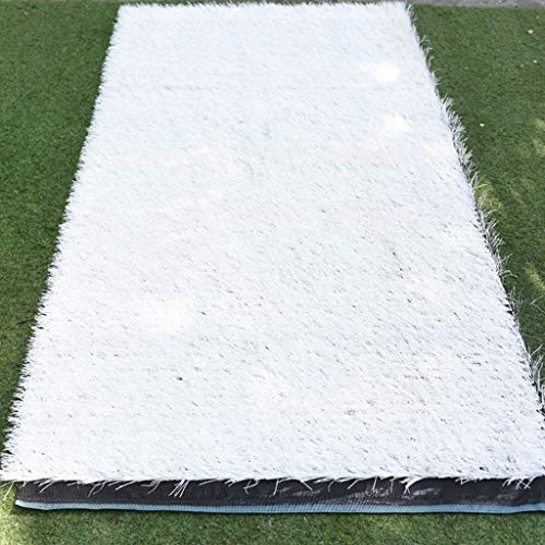 RRrawgff Tapis de Gazon Artificiel Blanc de 3 cm d'épaisseur pour Une Utilisation intérieure et extérieure, idéal pour Les terrains de Football. Tapis de Gazon synthétique Durable de 2 x 4 m.