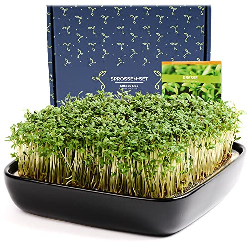 Otaro Cress Propagation Trays Including Cress Seeds (Black) | Get Started | Elegant Cress Sieve, Germination Bowls for Sprouts, Germination Bowl | Perfect as a Thank You Gifts (Premium Ceramic Set)