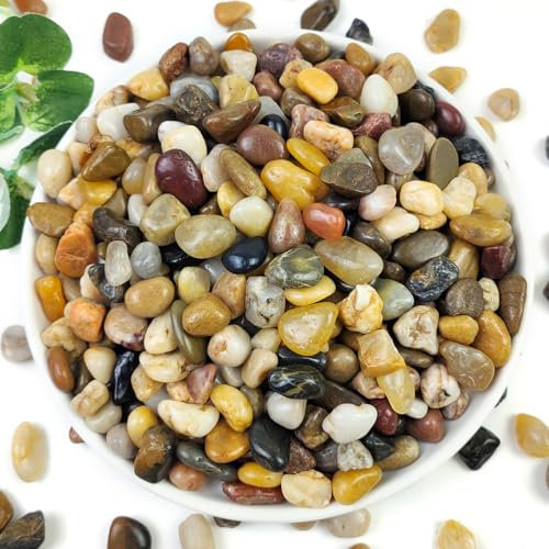 YISZM Piedras de grava para suculentas y cactus de 10 libras, piedras pulidas decorativas de 3/8 pulgadas, rocas de río para plantas, jarrones, acuarios, terrarios y jardinería al aire libre, natural