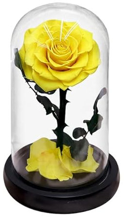 ZEYRU Eternal Preserved Roses In Glass Dome 5 Flower Heads Rose Forever Love Wedding Favor for Women Girlfriends-Yellow Rose