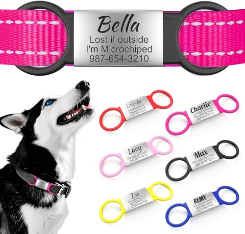 Tyst hundbricka Slide On Pet ID-bricka personligt rostfritt stål elastiskt silikonband katt hund namnetikett, anpassad graverad tyst hundetikett, universell design för de flesta husdjurshalsband