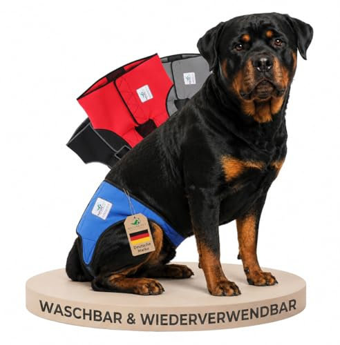 NATURE PET Premium Läufigkeitshose für Hündinnen – Hochwertige & Bequeme Hundewindeln für Hündinnen & Rüden – Waschbare Inkontinenz-Hundewindel ohne Einfädeln der Rute – L-L/Blau