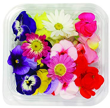 Fiori Commestibili BIOLOGICI - 25 FIORI EDULI di COLORI e VARIETÀ MISTE in vaschetta alimentare di 10 cm x 10 cm x 2,0 cm - Coltivati in Toscana dall'azienda agricola Carmazzi