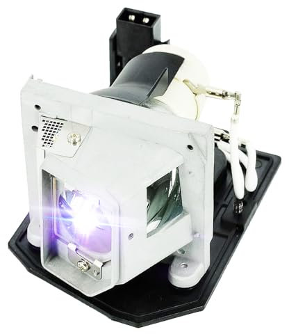 iReijomoi Lámpara de repuesto BL-FU240A/SP.8RU01GC01 con carcasa para proyectores OPTOMA DH1011/EH300/HD131X/HD25/HD25-LV/HD2500/HD30/HD30B