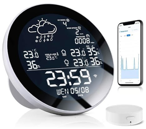 Estación meteorológica WiFi para exteriores inalámbrica, con pluviómetro y anemómetro exterior, fecha y hora, temperatura y humedad, para el hogar y el jardín (pantalla en blanco y negro + 1* sensor)