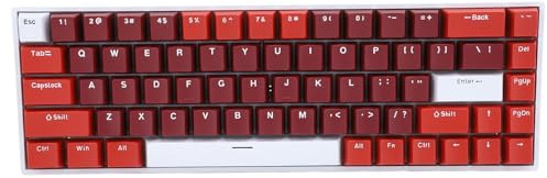 Jectse Teclado Mecánico 60 por Ciento, Teclado Mecánico para Juegos de 68 Teclas, Mini Teclados Retroiluminados RGB, 3 Modos 2.4G Inalámbrico BT3.0 5.0 Teclado con Cable con Interruptor