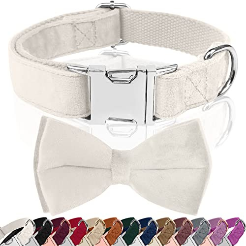 Asvin Hundehalsband Samtige, mit Abnehmbarer Hunde Fliege, Weich und Bequem Hunde Halsband, Mehrfarbig Samtige Hundehalsband, für Hochzeiten, Geburtstage, Partys usw