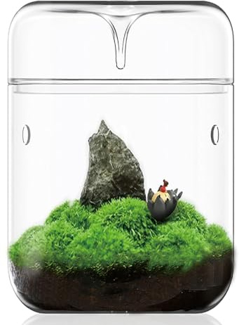 SARUFO Small Glass Plant Terrarium 4.7X7 Inches Succulent Air Planter Fern Moss Micro-Landscape Vase for Home Garden Office Tabletop Decoration Container with Lid Indoor Wardian Copyright Patent