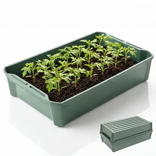 Hausfelder Pflanzschale Anzuchtschale 58x32x11 cm, 1 Stück | Rissfeste Pikier- & Pflanzwanne, frost- & UV-stabil, für Gewächshaus, Balkon & Microgreens
