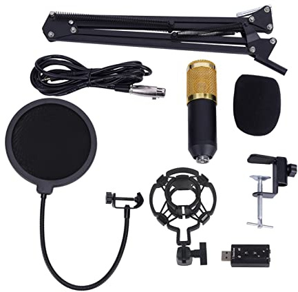 Bewinner Microfono a Condensatore, Microfono da Studio Ad Alta sensibilità con Filtro Anti-, Cappuccio in Schiuma, Adattatore Audio USB, Supporto Anti-shock, Supporto per Braccio, per