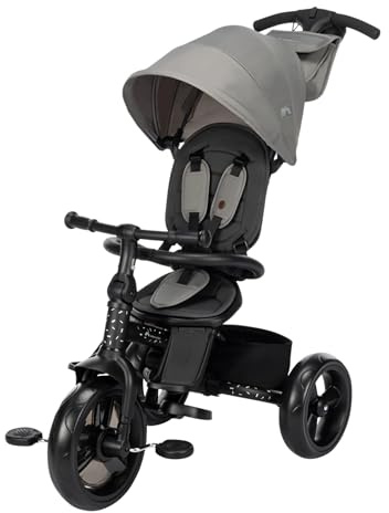 Bebeconfort Windy, Baby Trike with Parent Handle, 10 Months - 4 Years, 0-25 Kg, Adjustable to Child, Comfortable & Reversible Seat, Protective Canopy, Compact Fold, Toddler Bike, Tinted Stone