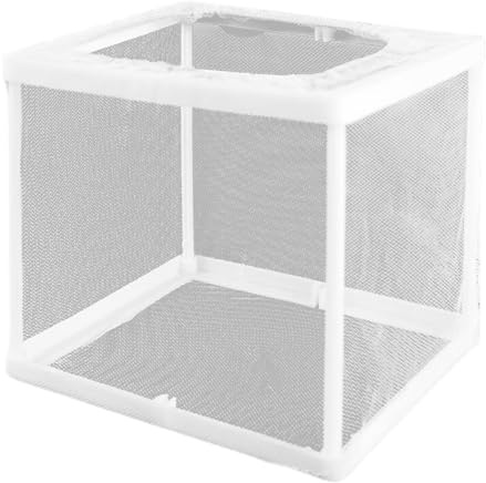 Faroby 2 st 15 x 14 x 14 cm bön Mantis livsmiljö, inkubator för tarantlar, spindlar, sniglar, syrsor och myror