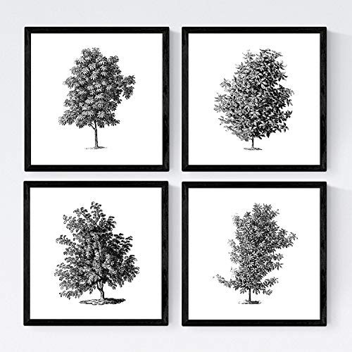 Nacnic Ensemble de quatre feuilles d'arbres. branches feuillues arbres Taille 30x30 cm, papier blanc affiche 250g et encres de haute qualité. Frameless