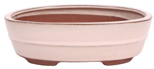 generisch Bonsai - Schale oval 22 x 16.5 x 6.5 cm Creme 22119