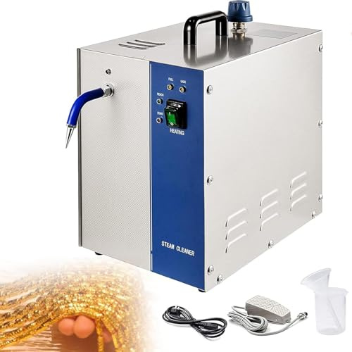 Rostfritt Stål Smycken ångtvätt, 1300w / 2200w ädelstensbricka, Guld Och Silver Smycken ångrengöringsmaskin, 135 ° C ångtemperatur, Guldsmedsutrustning För Hemindustri, 2l