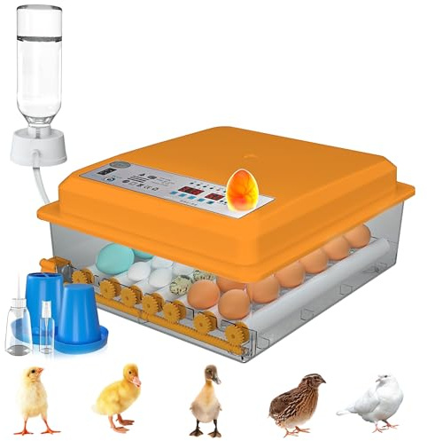 Auveach 36 Hen Egg Incubators for Hatching Eggs, Incubator for Eggs with Automatic Turning Humidity Display Automatic Temperature Control, Dual Power Supply Design Incubator for Chicken Duck (Orange)