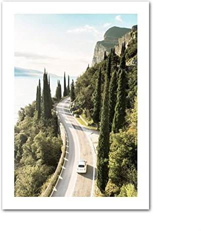 Zitronenbaum Blühende Tür Gardasee Straße Wand Kunstdrucke Papier Leinwand Malerei Modern Nordic Poster Decor Bilder for Wohnzimmer (Color : Canvas C, Size : 50x70cm No Frame)