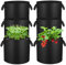 Lot de 6 Sac de Plantation Non Tissé 11L avec Poignées Renforcées, Sac Plantation Pomme de Terre, Sacs de Culture en Tissu Non tissé Pots pour Plantes, Tomates, Fraises, Légumes (3 Gallons)