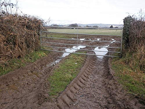 Horse Pony Muddy Gateway Repair Paddock OVERSEED Pastures Grass Seed 4KG