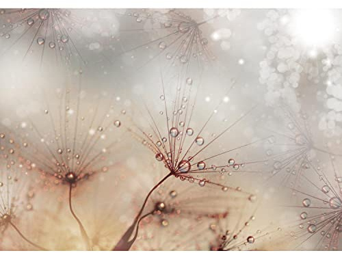 Runa Art Papel tapiz fotográfico flores de diente de león 352 x 250 cm Lana Fondo De Pantalla XXL Moderna Decoración De Pared Sala Cuarto Oficina Salón marrón 9426011a