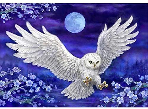 Yingxin34 Puzzles 3000 Teile, Ballon Landschaft Rahmenpuzzle, Puzzle Spiel Geschenk, DIY Puzzle Würfel Fliegende weiße Eule Impossible Puzzle, Geschenk Geschicklichkeitsspiel für die Ganze Familie