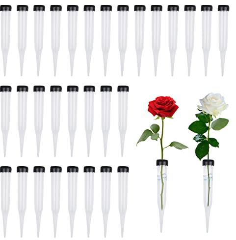 RNHDLY Blumenröhrchen 30 Stück Blumenröhren aus Kunststoff
