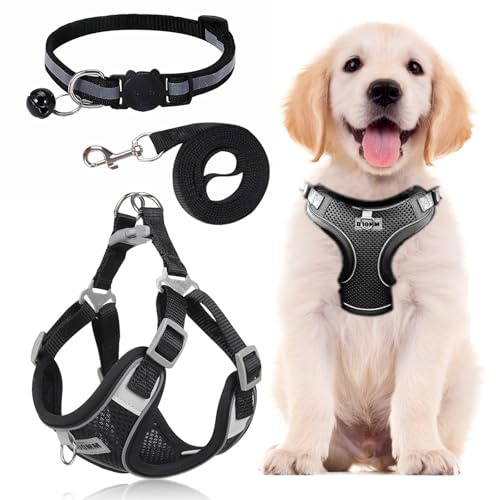 Dog Harness Medium Breathable Vest, Step-in Cat Puppy Collars and Lead Sets, Adjustable Dog Harness And Lead Set with Collar for Small Medium Pet Training or Walking Safety