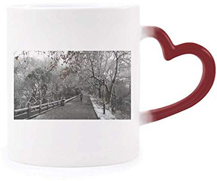 DIYthinker Snow View Road Photography Morphing Mug Heat Sensitive Red Heart Cup Multicolor