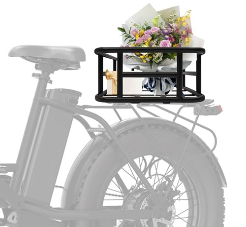 Büchel Panier de vélo arrière amovible, capacité de charge de 15 kg, 34 x 30 x 15 cm, panier à bagages pour la plupart des VTT et vélos de route