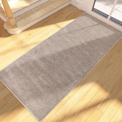 FCSDETAIL Schmutzfangmatte Innen Lang 60 x 150 cm, rutschfeste waschbare Fußmatte, absorbierend Türmatte, Fussmatte Läufer Teppich für Hund, Eingang, Flur, Küchen, Korridor