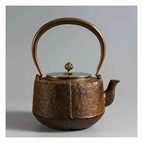 OZBMA Teiera Giapponese in ghisa Teiera in ghisa, teiera in ghisa Non Rivestita in Stile Giapponese Set bollitore da fornello con infusore in Acciaio Inossidabile per caffè (2)