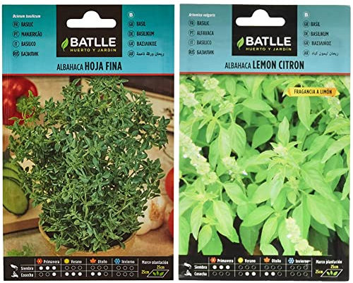 Semillas Batlle - Albahaca HOJA FINA & Albahaca Lemon Citron