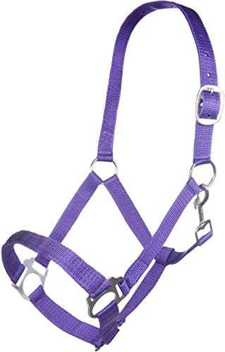 HKM SPORTS EQUIPMENT Halfter -Innsbruck-, lila, Warmblut