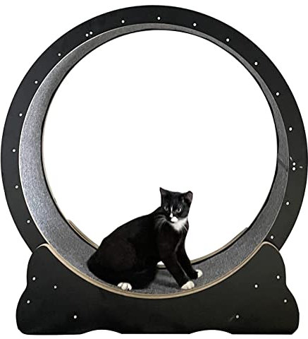 Katzenlaufrad, schwarzes Katzenrad, Übungslaufband aus Holz, kleines, mittelgroßes Katzenlaufband/Katzenübungsrad/Katzenkratzbrett, Katzenspielzeug 80/90/100 cm (Größe: M – Innendurchmesser
