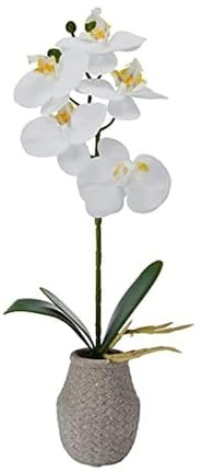 MIKASA Orchidea artificiale in vaso, orchidea Phalaenopsis Real Touch, vaso di cemento a tessuto goffrato, ramo singolo da 36 pollici, bianco/giallo