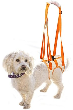 Hundegeschirr, Tragehilfe Hund Hinten, Dog Lift Harness Tragbarer Hebeband-Tragegurt Helfen Sie Hunden Mit Schwachen Hinterbeinen, für Verletzte Behinderte Kleine, Mittlere und Große Hunde(Größe S)