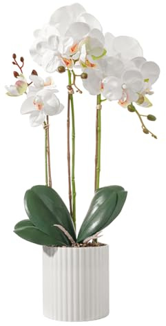 dallisten 19'' Realistic Artificial Orchid Flowers in Pots, Fake Orchid White Silk Phalaenopsis Plants for Home Decor, Wedding Centerpiece, Office & Bedroom Decoration