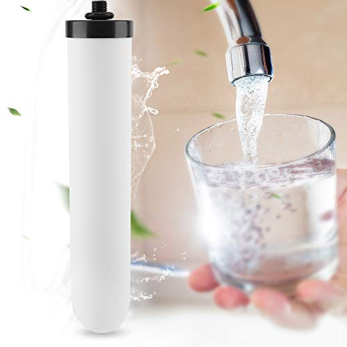 RASTKY Élément Filtrant à Charbon Actif comprimé, Système de Purification D'eau Efficace pour les Systèmes de Filtre à gravité Scène Applicable: Cuisine
