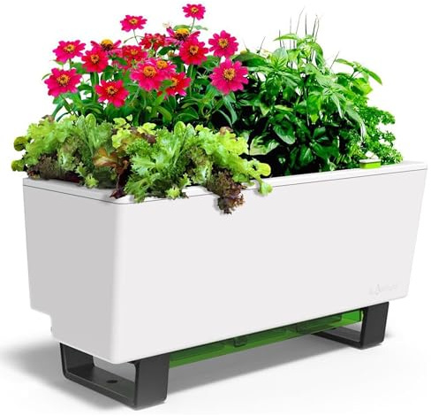 Glowpear Self-Watering Mini Bench Planter - 23.6 in Pot, Free Standing, UV Stable, Scalable, Indoor | Outdoor Pot with Water Gauge, for Home Kitchen Windowsill Gardening