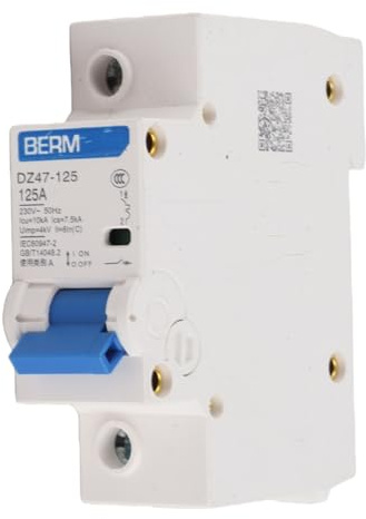 Fafeicy Disjoncteur d'air de 230V 80/100/125A, disjoncteur miniature actuel de DZ47-125 1P(C125A), Briseur