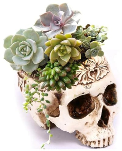 Exogio Résine Crâne Planteur Fleur Succulentes Pot Sculpté Squelette Pot de Fleurs Sucre Cactus Planteur Pots Titulaire Bol de Bonbons