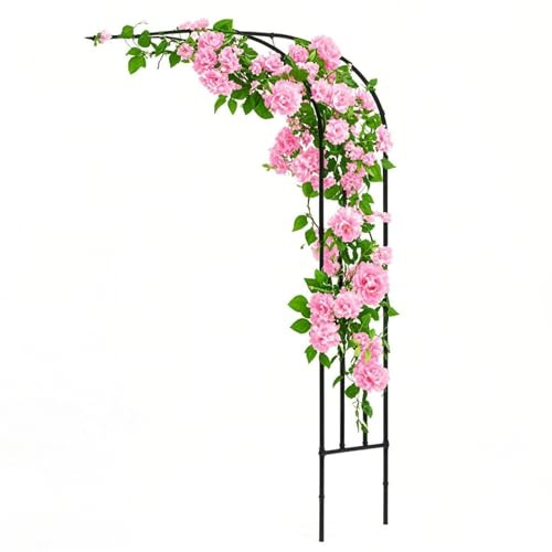 Arche de jardin demi-face en acier pour plantes grimpantes, treillis en métal pour roses et vignes, pergola extérieure, arche murale pour pelouse et terrasse – Noir Largeur 120–250 cm