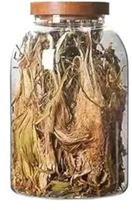 YILWPV Grande contenitore sigillato for la conservazione degli alimenti, da cucina con coperchio in legno, spezie, vetro trasparente, ermetico for frutta secca Per Frutta Secca