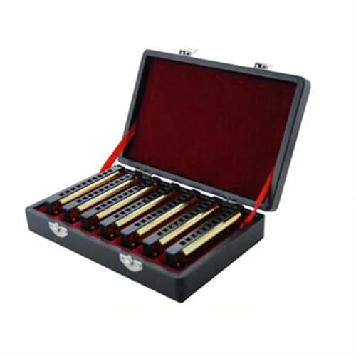 Erwachsene Mundharmonika 7 Teile/satz 10 Loch 20 Ton Mundharmonika Senior Diatonische Blues Harfe Goldene Farbe A-G Schlüssel Mit Geschenk Box musik instrument