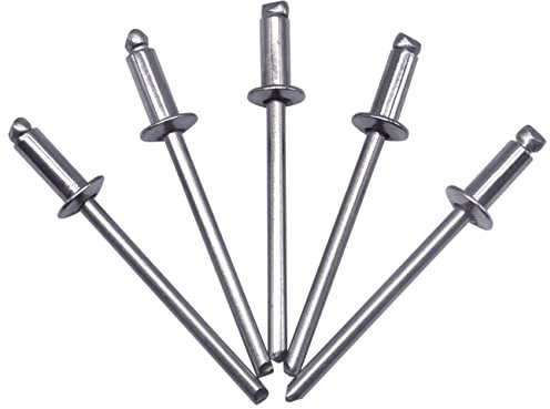 SKIR'CO 100 rivetti ciechi in acciaio inox 3,2 x 10 mm, testa a cupola, rivetti pop, DIN 7337, rivetto A2