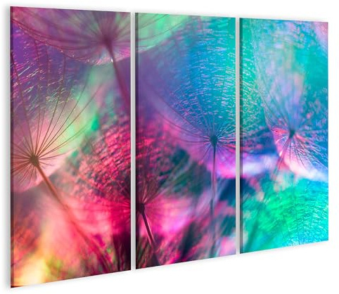 islandburner Bild auf Leinwand Regenbogen Pusteblume Kunstwerk Farbe Licht Fantasie Fantastisch Bilder Wandbilder Poster