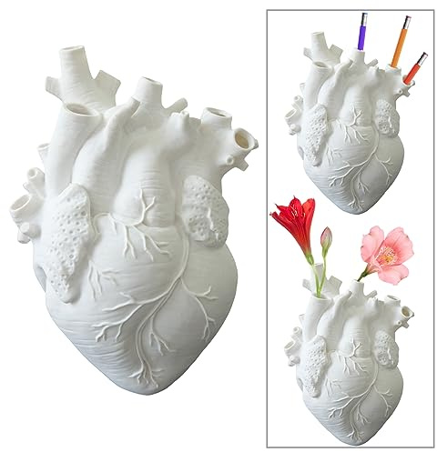 Molyorch Herz Vase Anatomisch, Anatomisches Herz Vase, für Blumenarrangement Dekoration, Geschenke zur Beichte, Lehrmittel (Weiß)