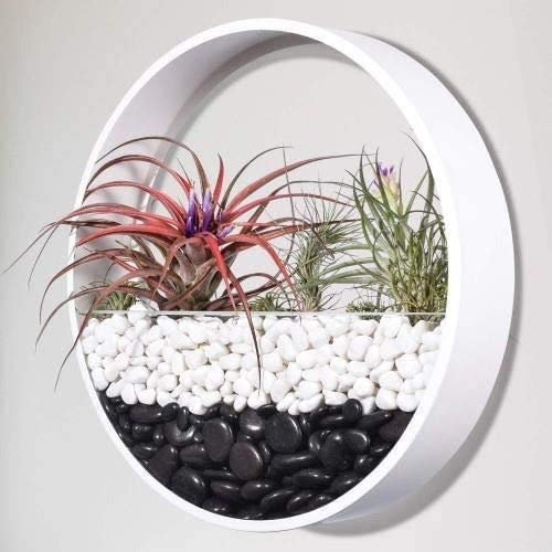 YUEKOPOU Fioriera da parete rotonda in metallo, Vaso da muro Terrario da parete Vaso da fiori da parete Porta piante ad aria Contenitore verticale succulento, Decorazione for interni for soggiorno, cu