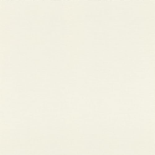 Rasch Symphony 690705 Papier peint non tissé uni Blanc 10,05 m x 0,53 m